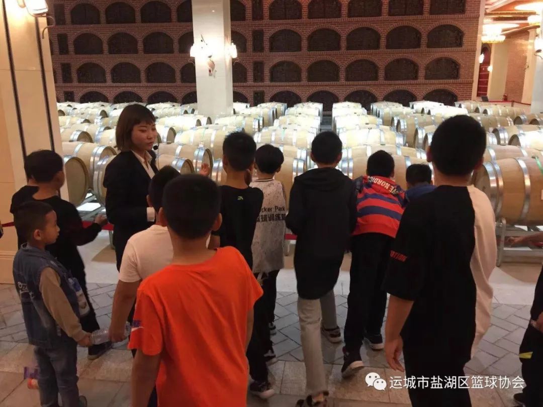 为什么可靠的篮球技术指导对初学者很重要?_1